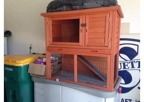 Rabbit hutch