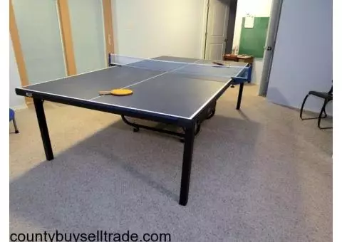 Ping Pong Table