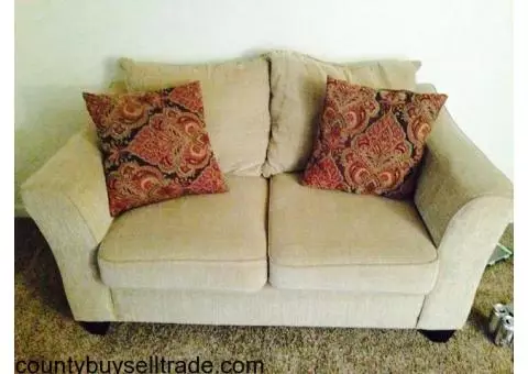 Couch and Loveseat for SALE