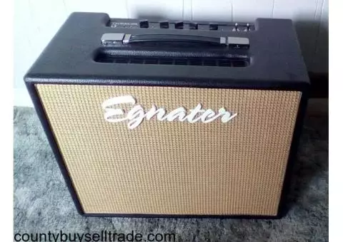 Guitar Combo Amplifier For Sale