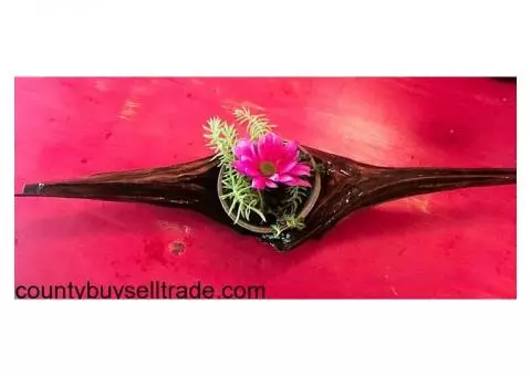 Handcrafted Driftwood Bowl or Pot Holder